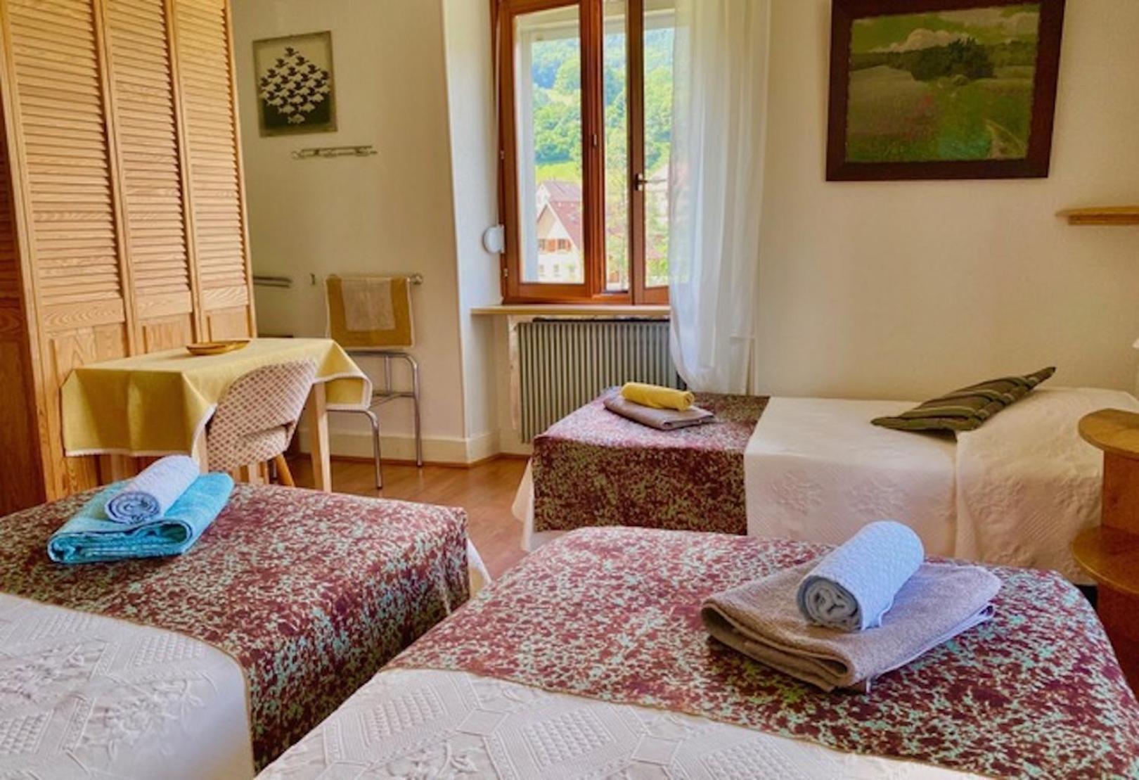 Appartements Maison Bellevue Munster  Kültér fotó
